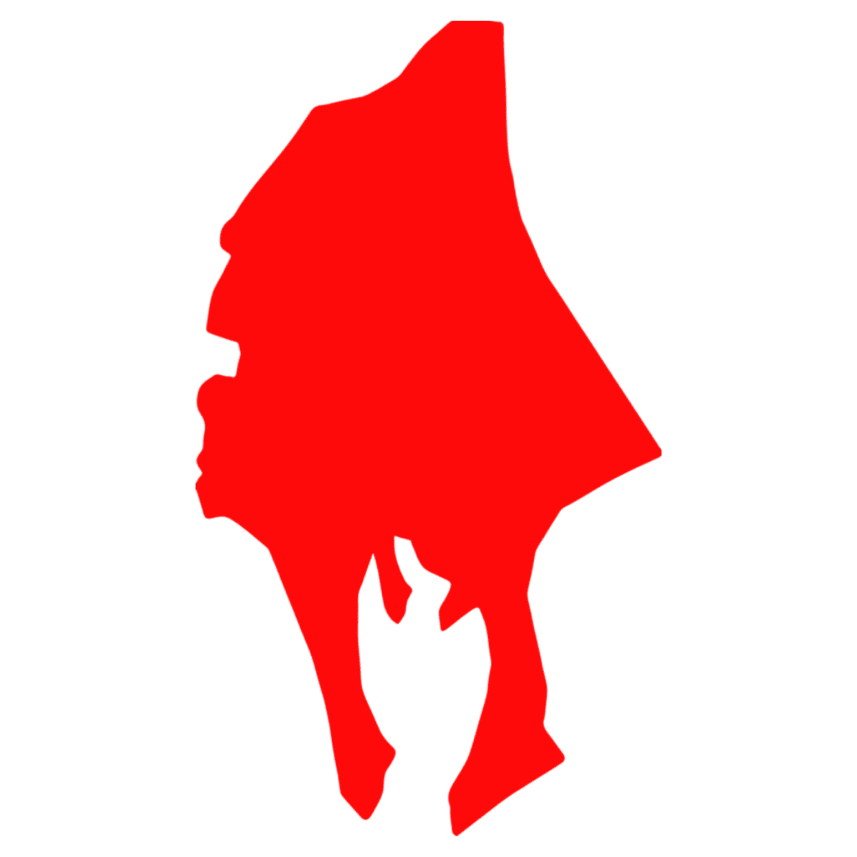 Shadow